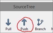 SourceTree push