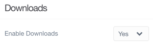 Enable Downloads